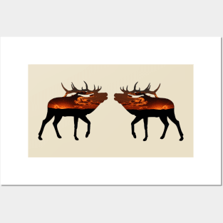 Sunset Elk Posters and Art